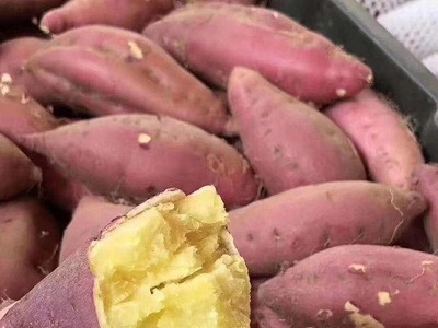 新鲜现挖红薯，香甜哈密地瓜农家特产沙地红心地瓜图3
