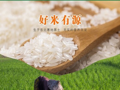 中粮福临门大米唯粹东北长粒香米5kg 新米大米家庭10斤装图5