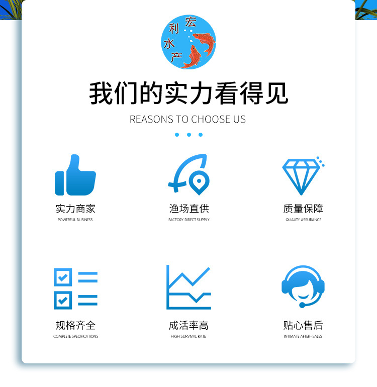 罗非鱼苗_02