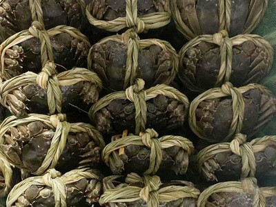 厂家直供兴化水产大闸蟹批发六月黄螃蟹一斤装1.2-1.4两河蟹图2