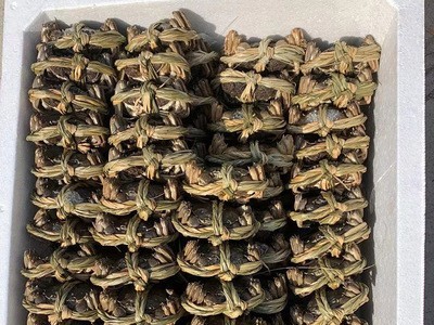 厂家直供兴化水产大闸蟹批发六月黄螃蟹一斤装1.2-1.4两河蟹图5