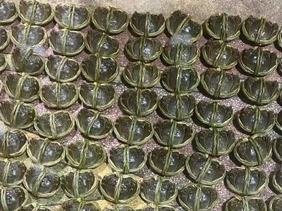 厂家直供兴化水产大闸蟹批发六月黄螃蟹一斤装1.2-1.4两河蟹图4