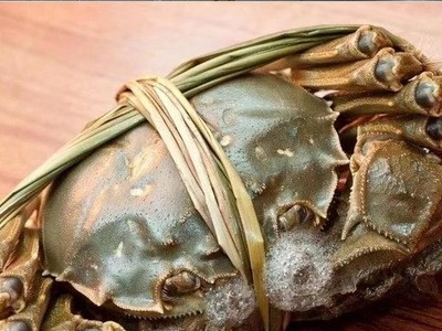 厂家直供兴化水产大闸蟹批发六月黄螃蟹一斤装0.9-1.1两河蟹图4