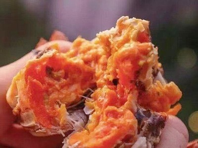 大闸蟹挑膏礼盒装批发10只装兴化水产淡水湖大闸蟹带蟹黄 鲜活蟹图3