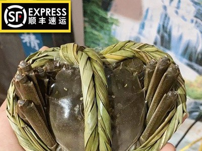 大闸蟹挑膏礼盒装批发10只装兴化水产淡水湖大闸蟹带蟹黄 鲜活蟹图2