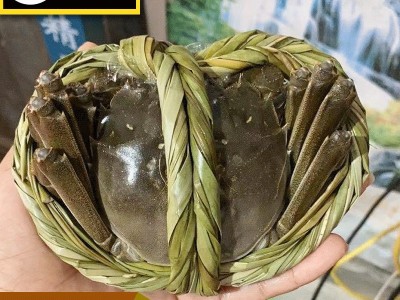 大闸蟹挑膏礼盒装批发10只装兴化水产淡水湖大闸蟹带蟹黄 鲜活蟹图5