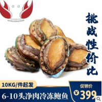 新鲜鲍鱼鲜活大个超大鲍鱼非小鲍鱼特大8头鲜活海产鲜鲍大连包邮