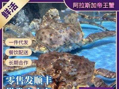 冰鲜俄罗斯帝王蟹海鲜水产鲜活皇帝蟹5斤长脚蟹帝皇蟹超特大螃蟹图2