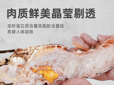 花龙虾小青龙虾杂龙虾油龙虾澳龙波士顿龙虾刺身海鲜鲜活水产食材图4