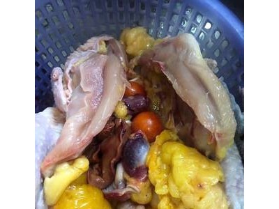 何湾镇土鸡图4
