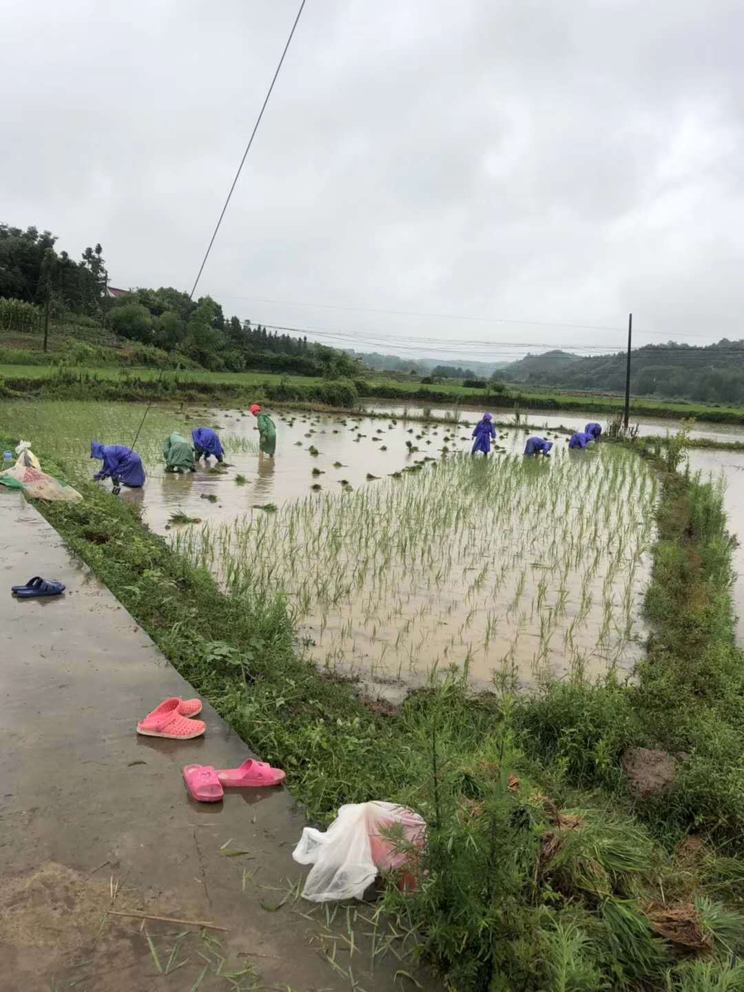 微信图片_20200520134725