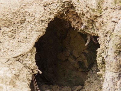 无公害富硒土鸡蛋养殖场批发鸡蛋 新鲜山地生态土鸡蛋供应销售图2