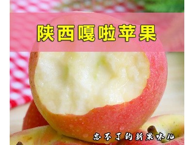陕西嘎啦苹果新鲜脆甜红苹果非红富士非花牛自然成熟头茬现采现摘图3