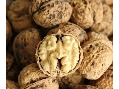 云南薄皮核桃晒干核桃去青皮大麻果干果当季新鲜采摘特产孕妇专用图4