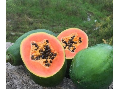 广西红心木瓜新鲜热带水果冰糖心当季现摘雷州青皮木瓜产妇水果图4