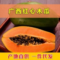 广西红心木瓜新鲜热带水果冰糖心当季现摘雷州青皮木瓜产妇水果