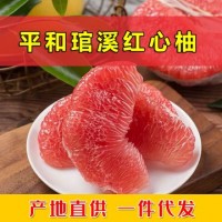 福建平和琯溪红心柚新鲜柚子红肉蜜柚三红蜜柚非白心柚海南红心柚