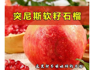 四川会理突尼斯软籽石榴大凉山大红石榴不吐籽当季水果新鲜采摘图2
