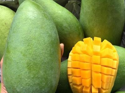 现货芒果烟味食足当季新鲜水果支持代发批发香甜可口广西金煌芒图2