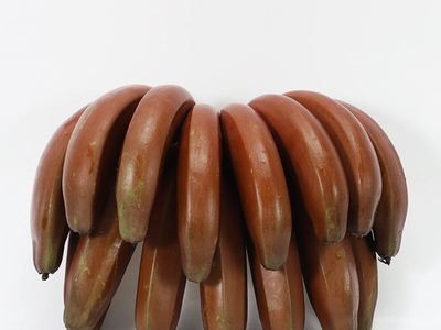 香蕉红美人香蕉红皮香蕉火龙蕉新鲜孕妇水果非青香蕉微商一件代发图3