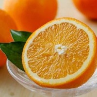 橙子南非橙子10枚装大果 新鲜当季水果甜脐橙手剥橙应季批发包邮