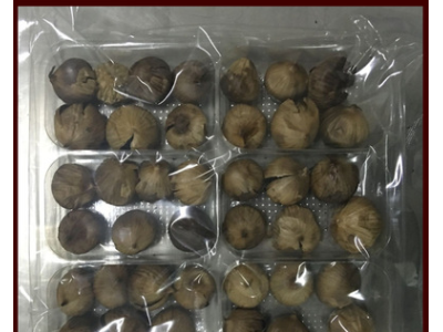 天合悠养脆皮独头黑蒜 裂皮黑大蒜 500g包邮 山东金乡特产黑蒜图3