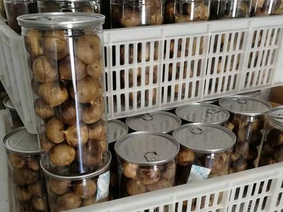 罐装500g黑蒜独头OEM支持混批图4