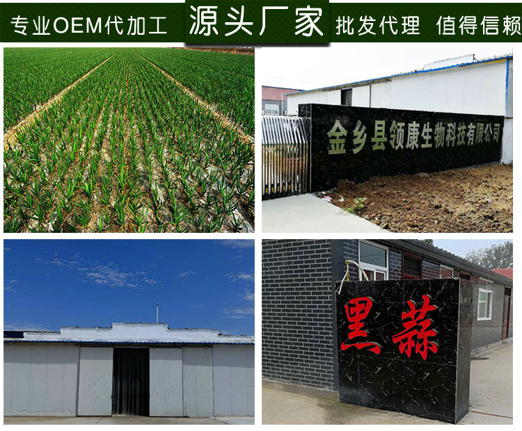 罐装多瓣500_03.jpg
