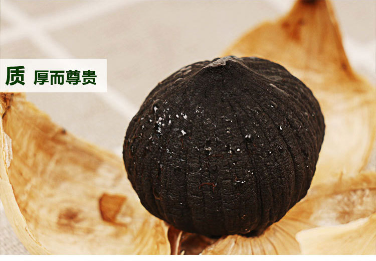 罐装独头500_15.jpg
