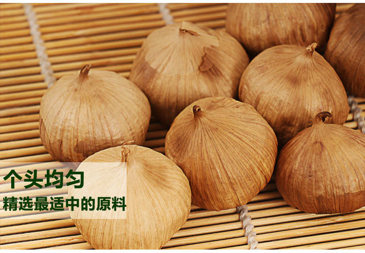 罐装独头500_11.jpg