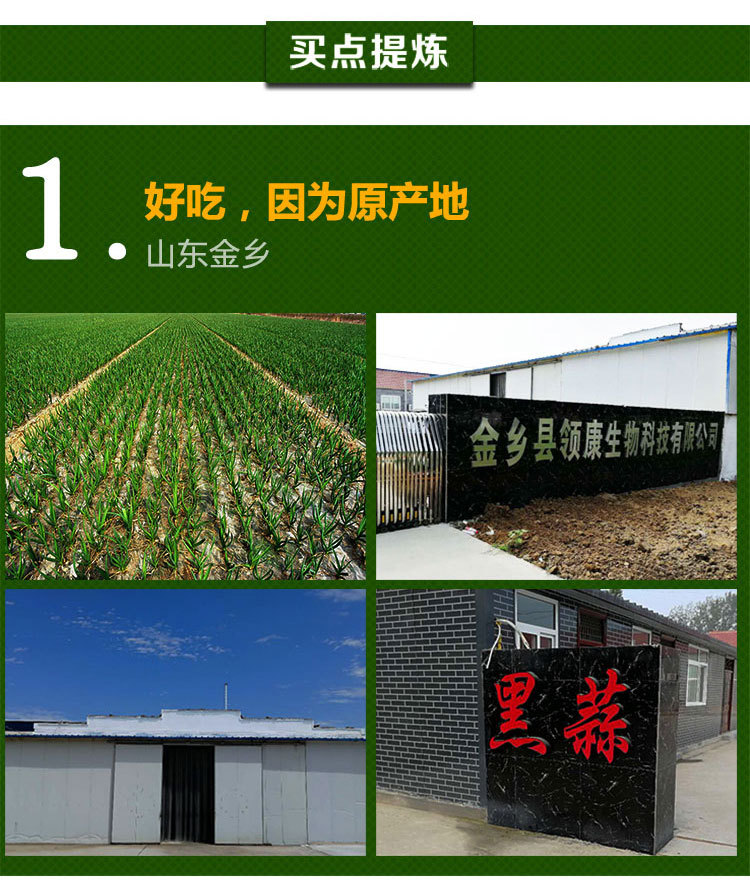 罐装多瓣500_17.jpg