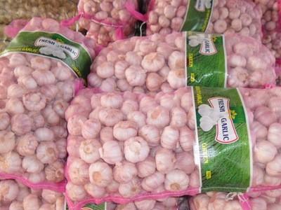 大量供应 新鲜大蒜 白皮蒜 金乡大蒜出口批发图2