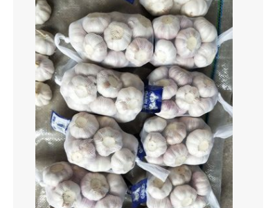 大蒜 优势批发 激光大蒜 厂家直销 新鲜农产品大瓣蒜图3
