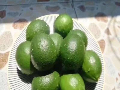 当季新鲜重庆万州青柠檬多汁皮薄酸味足新鲜采摘青柠檬现货批发图3
