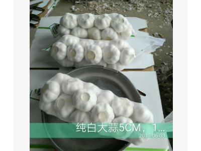 小单批发大蒜图2