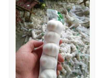 小单批发大蒜图5