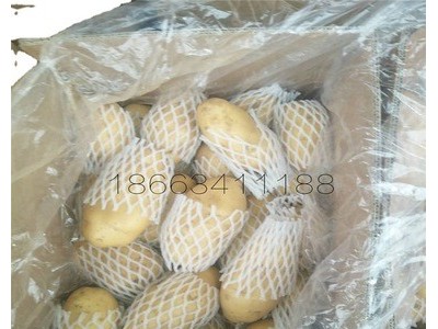 批发供应农产品食用马铃薯 新鲜黄心香糯土豆图4