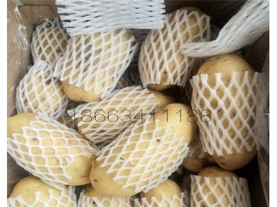 土豆出口马来，印尼，泰国，越南，新加坡，文莱，东帝汶 迪拜等图3