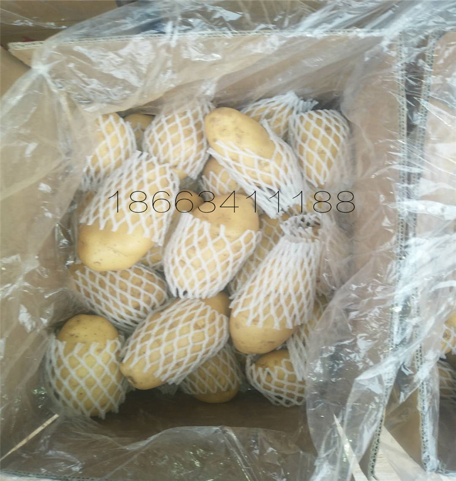 微信图片_2019061807470316_副本