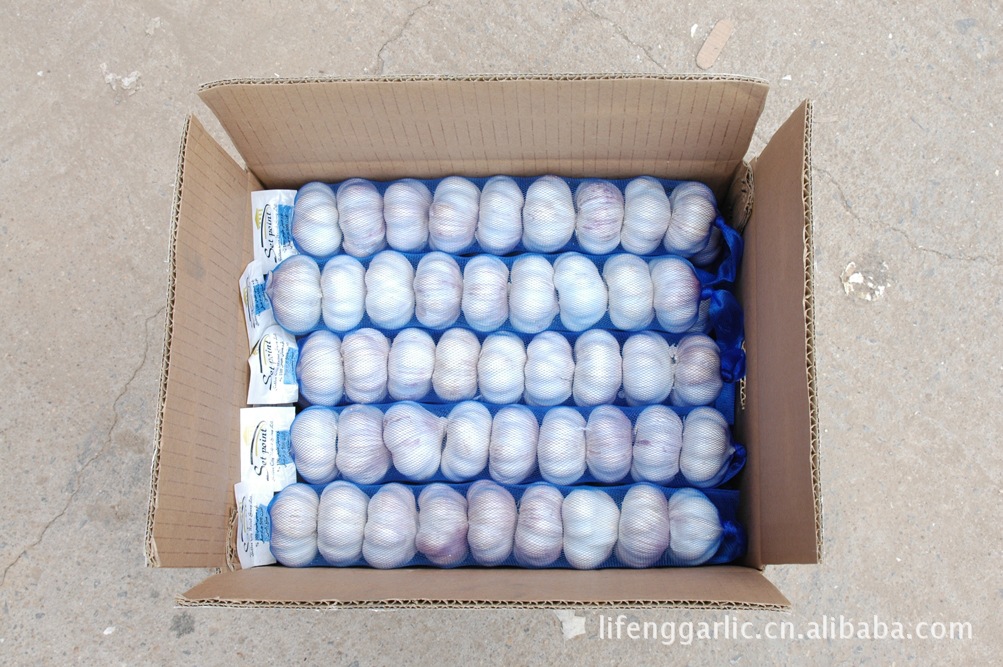 500G.