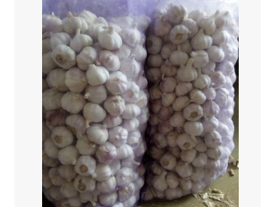 山东生鲜农产品基地长期供应食用大蒜 紫皮白头大蒜图3