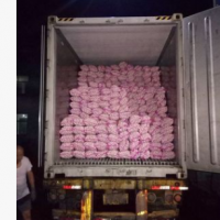 山东生鲜农产品基地长期供应食用大蒜 紫皮白头大蒜