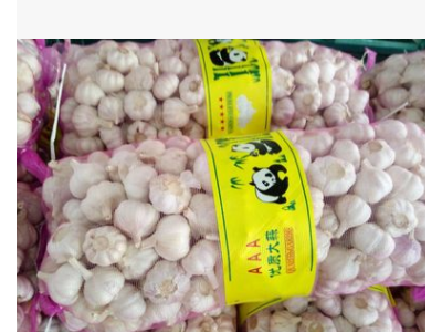 山东生鲜农产品基地长期供应食用大蒜 紫皮白头大蒜图4