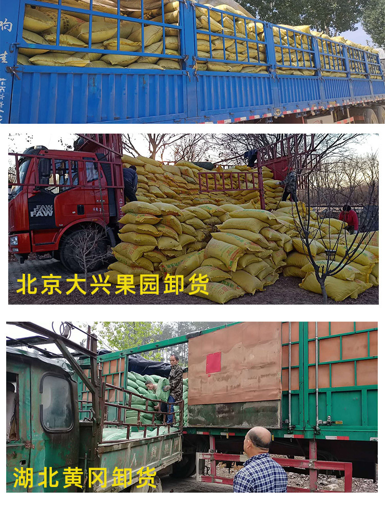 发酵羊粪_10.jpg