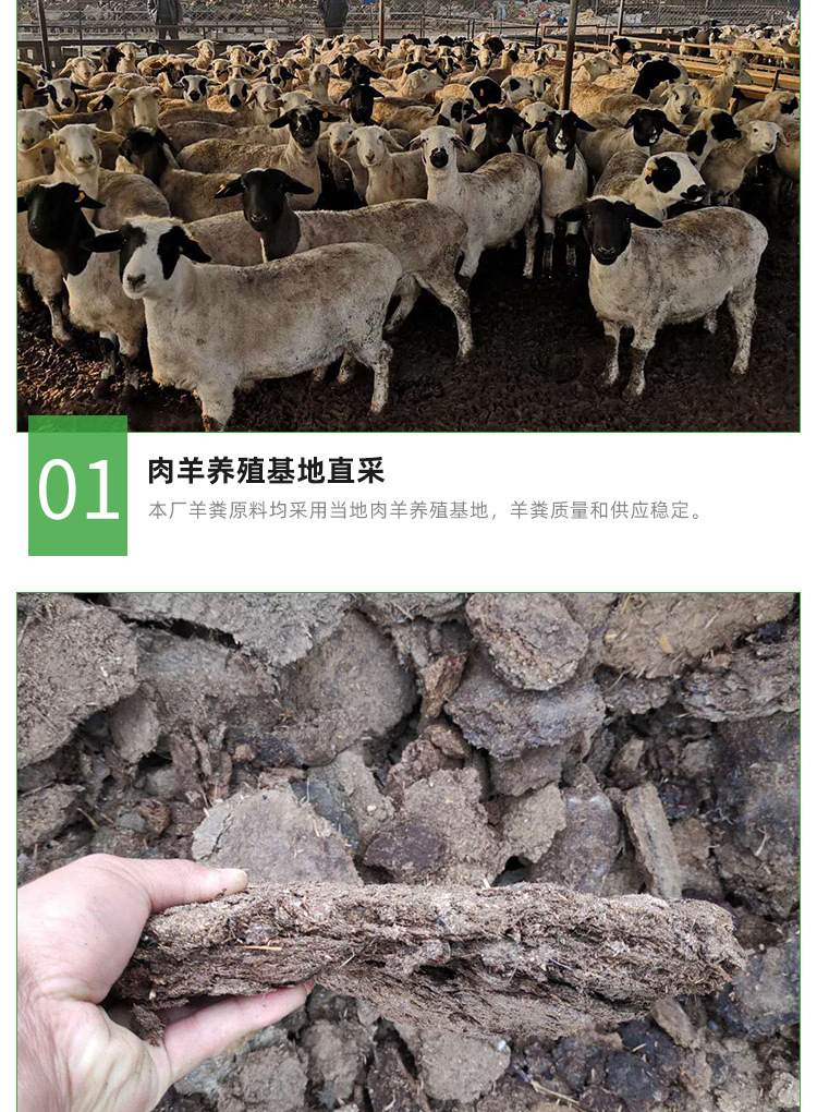 发酵羊粪_04.jpg