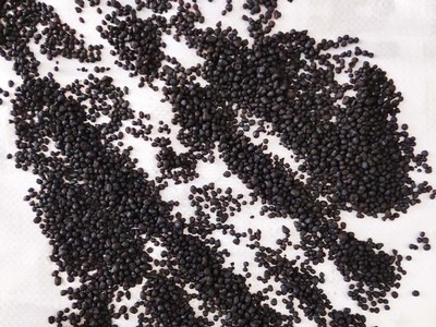 旭泽田有机肥厂家常年批发生物有机肥 颗粒菌肥图5
