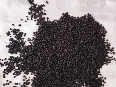 旭泽田有机肥厂家常年批发生物有机肥 颗粒菌肥图4