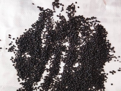 旭泽田有机肥厂家常年批发生物有机肥 颗粒菌肥图3