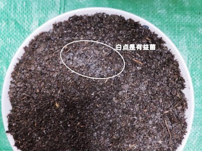 供应旭泽田牌 发酵羊粪 河北羊粪有机肥厂家直销羊粪 果树底肥图3