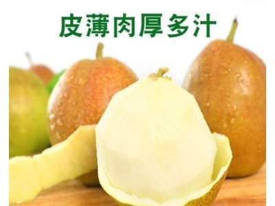 陕西红香酥梨新鲜应季孕妇水果脆甜青皮大雪梨特产一件批发代打图2